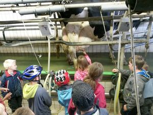 Ferienbetreuung Gerd-Holling 1.jpg